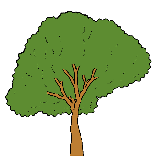 Trees for Cartoon Animation). cartoon tree pictures