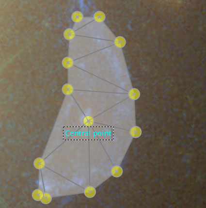 _images/grale_editor_a3827_label.png